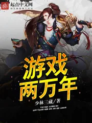 《游戏两万年》封面