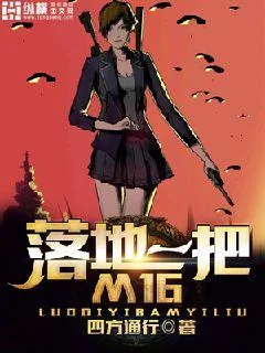 《落地一把M16》封面