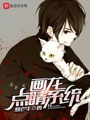 《画龙点睛系统》封面