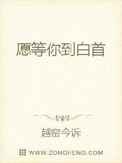 《愿等你到白首》封面