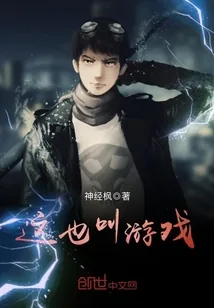 《这也叫游戏》封面