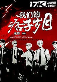 《我们的痞子岁月》封面