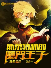 《斯莱特林的魔咒王子》封面