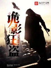 《诡影狂盗》封面
