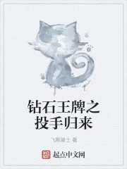 《钻石王牌之投手归来》封面