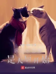 《四合院之我是大厨开始》封面