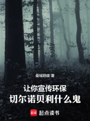 《让你宣传环保，切尔诺贝利什么鬼》封面