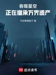《吞噬星空：正在继承万界遗产》封面