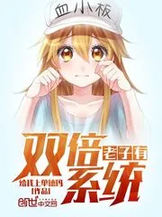 《老子有双倍系统》封面