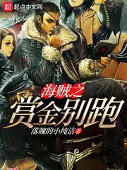 《海贼之赏金别跑》封面