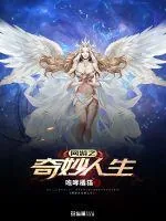 《网游之奇妙人生》封面