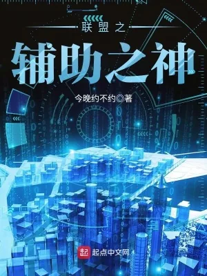 《联盟之辅助之神》封面