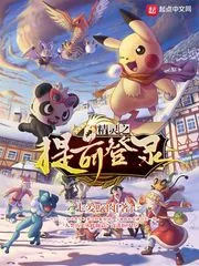 《精灵之提前登录》封面