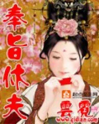 《奉旨休夫》封面
