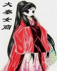 《大秦女商》封面