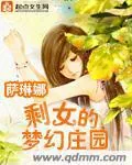 《剩女的梦幻庄园》封面