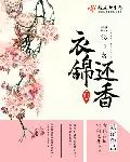 《医锦还乡》封面