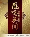 《凰鸣无间》封面