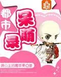 《都市呆萌录》封面
