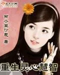 《重生灵心慧智》封面