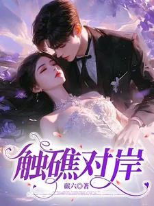 《触礁对岸》封面