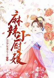 《麻辣小厨娘》封面