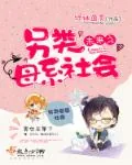 《未来之另类母系社会》封面