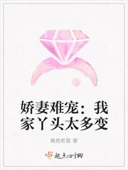 《娇妻难宠：我家丫头太多变》封面
