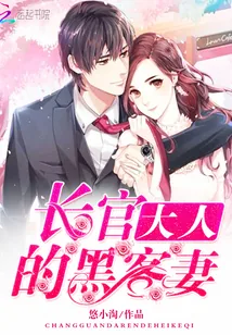 《长官大人的黑客妻》封面