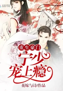 《重生豪门：宁少，宠上瘾》封面