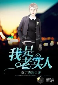 《我是老实人》封面