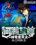 《神奇宝贝之阿鹏至尊》封面
