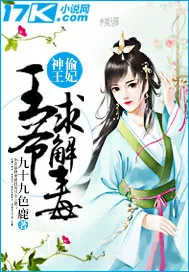 《神偷王妃：王爷求解毒》封面