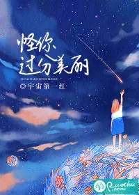 《怪你过分美丽》封面