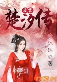 《后宫楚汐传》封面