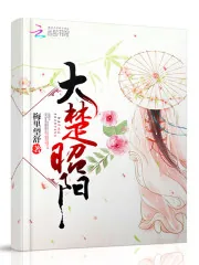 《大楚昭阳》封面