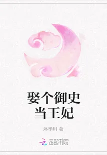 《娶个御史当王妃》封面
