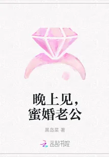 《晚上见，蜜婚老公》封面