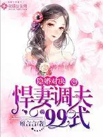 《隐婚对决：悍妻调夫99式》封面