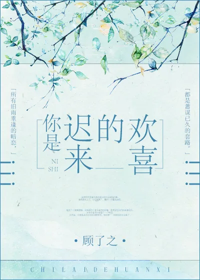 《你是迟来的欢喜》封面