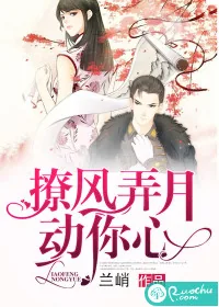 《撩风弄月动你心》封面