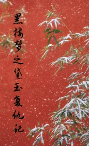 《黑楼梦之黛玉复仇记》封面