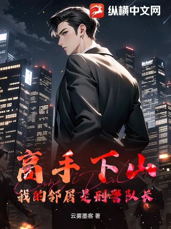 《高手下山：我的邻居是刑警队长》封面