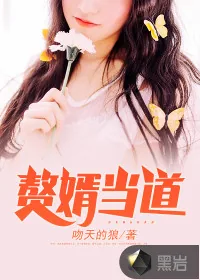 《赘婿当道》封面