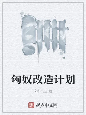 《匈奴改造计划》小说封面