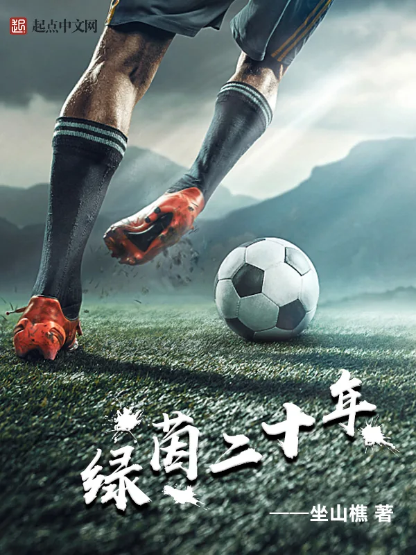 《绿茵二十年》小说封面