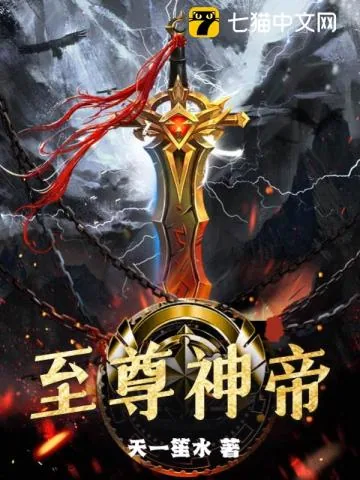 《至尊神帝》小说封面