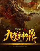 《九龙神鼎》小说封面