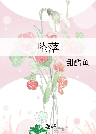 《坠落》小说封面
