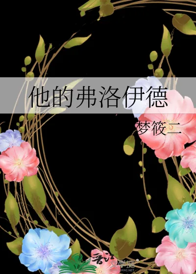 《他的弗洛伊德》小说封面